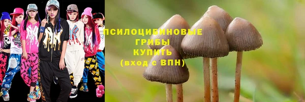 ешки Нея