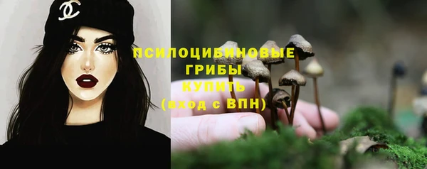 мескалин Нефтегорск