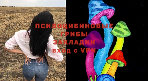 ешки Нея