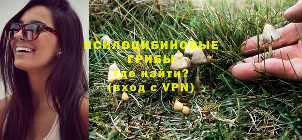 ешки Нея