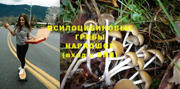 ешки Нея