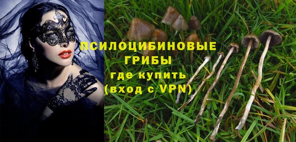 мескалин Нефтегорск