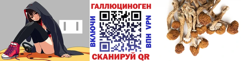 Галлюциногенные грибы GOLDEN TEACHER блэк спрут Кириши