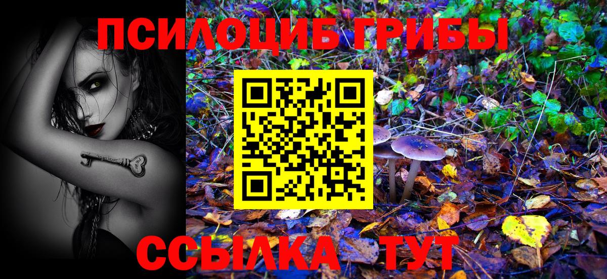 Галлюциногенные грибы GOLDEN TEACHER Кириши