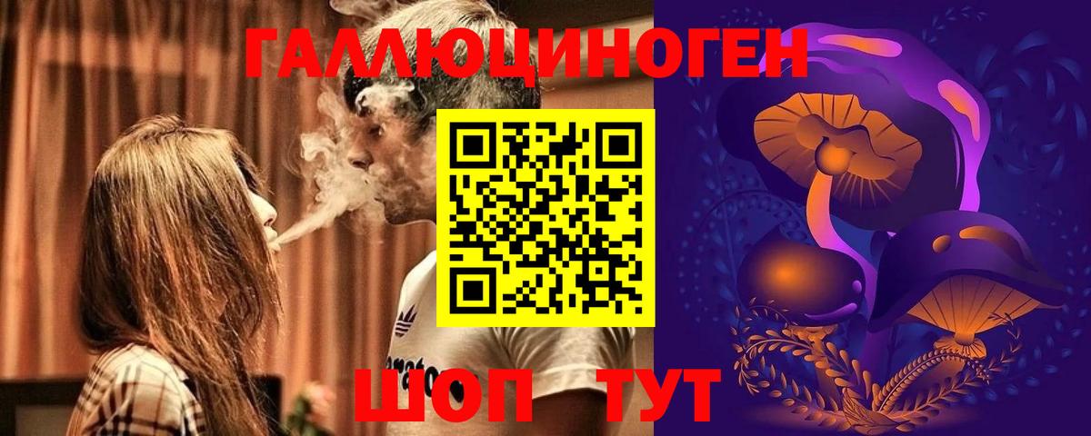 Псилоцибиновые грибы Psilocybine cubensis  Кириши 